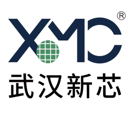 武汉新芯