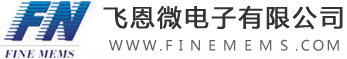 飞恩微电子